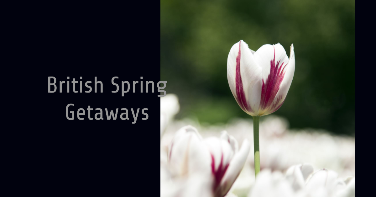 Some Of The Best British Spring Vacations