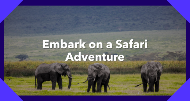 Pole Pole safaris