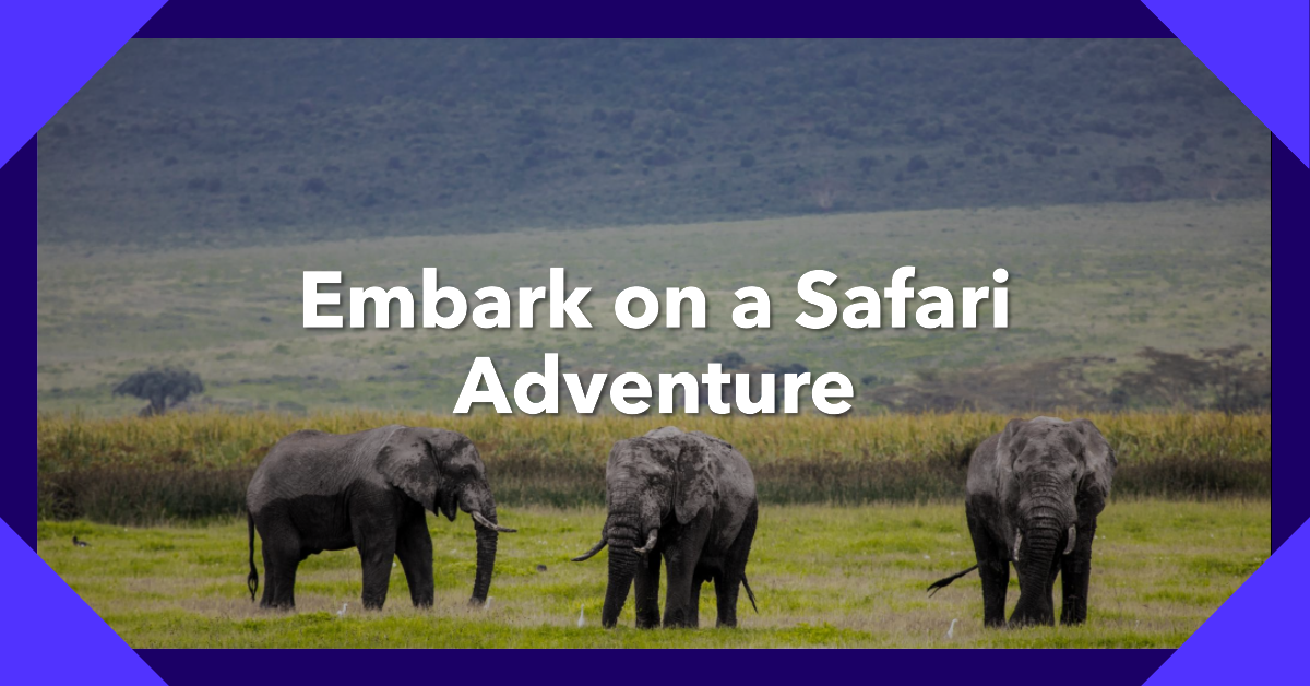 Pole Pole safaris Launches 2 Weeks Tour Program Pole Pole safaris Launches 2 Weeks Tour Program