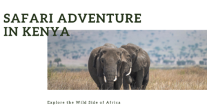 Safari Holidays in Kenya