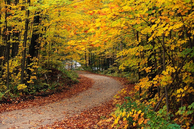 How to Save, Vacationing on the Road Less Traveled How to Save, Vacationing on the Road Less Traveled
