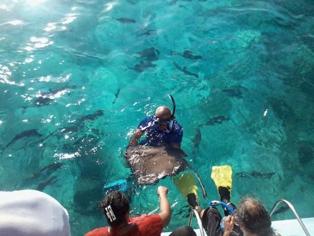 Splash Wave Tours Splash Wave Tours