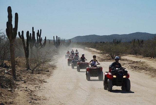 Unforgettable Food Trip in Los Cabos