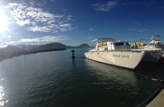 Wild Side Specialty Tours Wild Side Specialty Tours