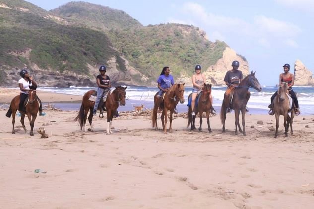 East Coast Riding Stable East Coast Riding Stable