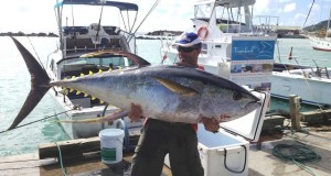 Marlin Queen Fishing Charters