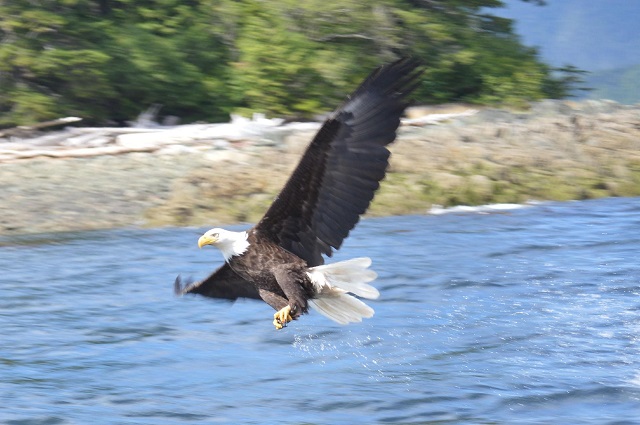 About Ketchikan Outdoors