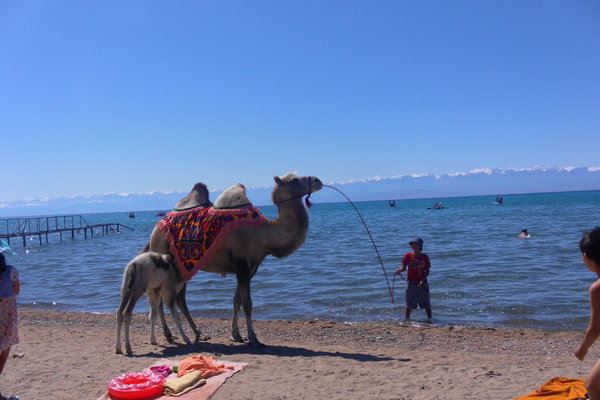 Lake Issyk Kul: The Most Popular Alpine Lake in Kyrgyzstan