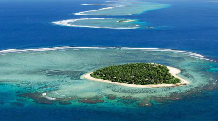 You are Not an Island – Delegate Your Pre-Holiday Tasks