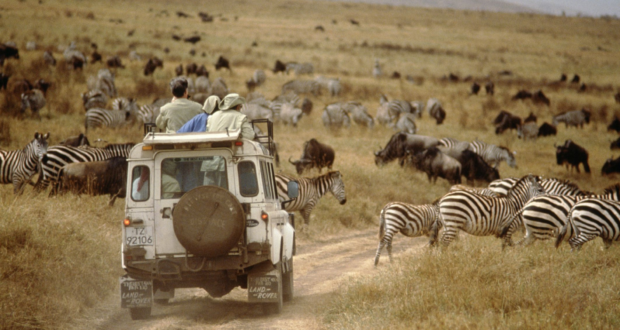 Travel In Africa