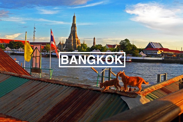 Fun Family Activities To Do in Bangkok - Living There