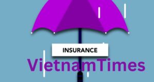 Insurance vietnamtimes