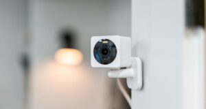 Innocams: A Must-Have for Everyone - Discover Why