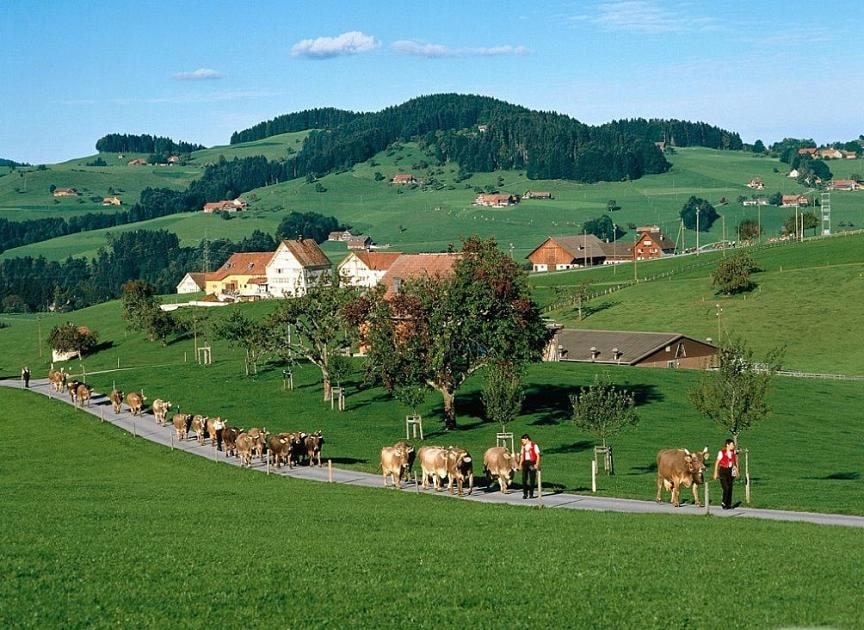 Affordable Product Design Ideas for Rural Areas