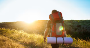 Sunlight Eco Tourism: Exploring Sustainable Travel Options